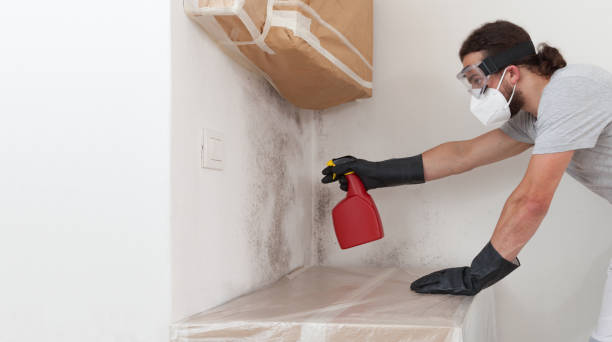Professional Mold Cleanup technician working in Port Washington, NY